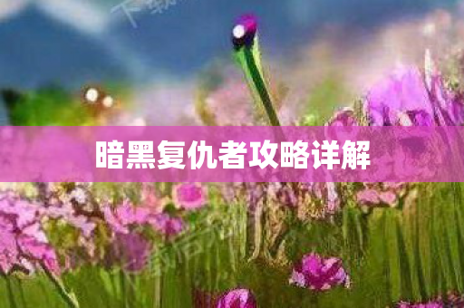 暗黑复仇者攻略详解图片