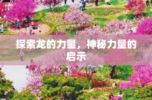 神秘力量的启示图片