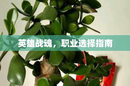 职业选择指南图片