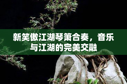 音乐与江湖的完美交融图片
