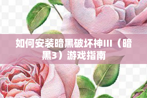 如何安装暗黑破坏神III图片