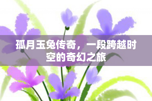一段跨越时空的奇幻之旅图片
