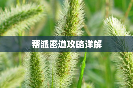 帮派密道攻略详解图片