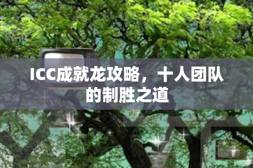 十人团队的制胜之道图片