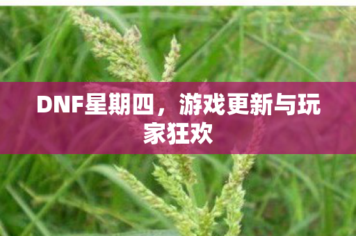 游戏更新与玩家狂欢图片