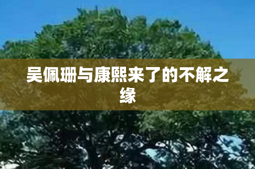 吴佩珊与康熙来了的不解之缘图片