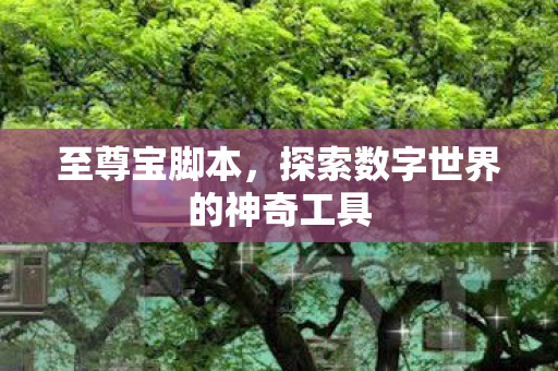 探索数字世界的神奇工具图片