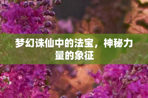 梦幻诛仙中的法宝图片