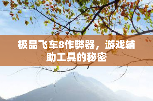 游戏辅助工具的秘密图片