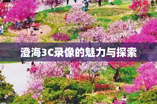 澄海3C录像的魅力与探索图片