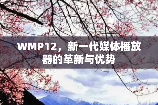 新一代媒体播放器的革新与优势图片