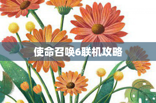 使命召唤6联机攻略图片