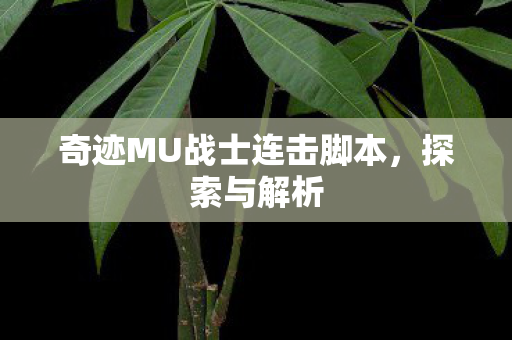 奇迹MU战士连击脚本图片