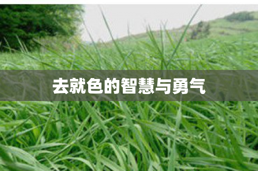 去就色的智慧与勇气图片