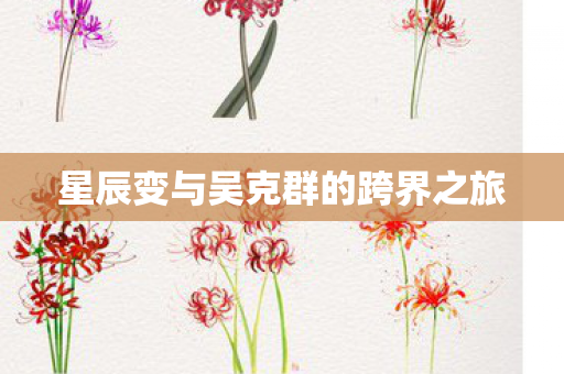 星辰变与吴克群的跨界之旅图片