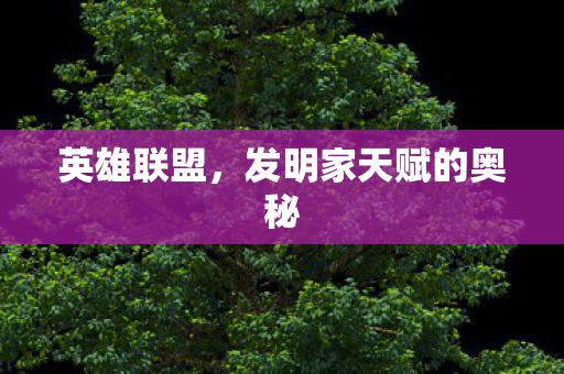 发明家天赋的奥秘图片