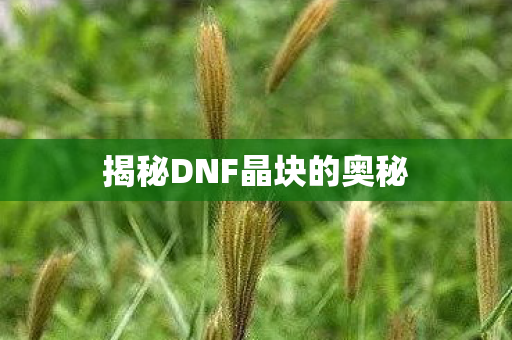 揭秘DNF晶块的奥秘图片