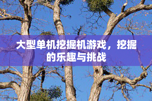 大型单机挖掘机游戏图片