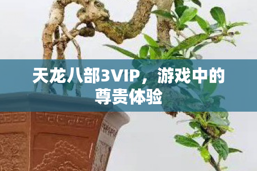 天龙八部3VIP图片