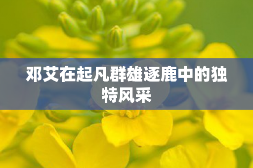 邓艾在起凡群雄逐鹿中的独特风采图片