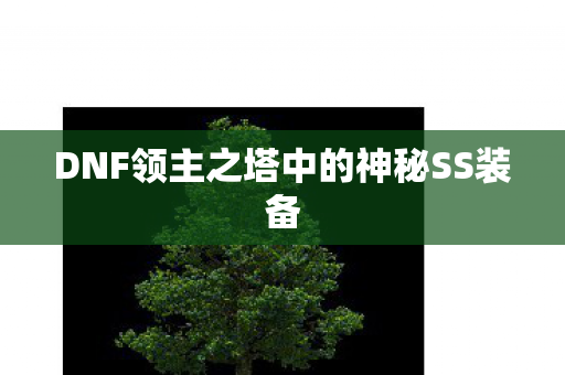 DNF领主之塔中的神秘SS装备图片