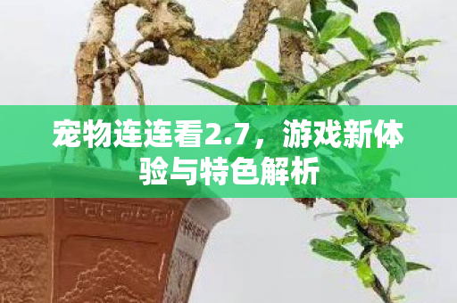 游戏新体验与特色解析图片
