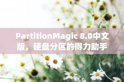 PartitionMagic 8图片