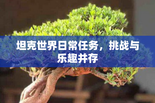 坦克世界日常任务图片