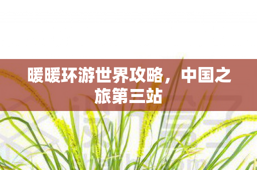 暖暖环游世界攻略图片