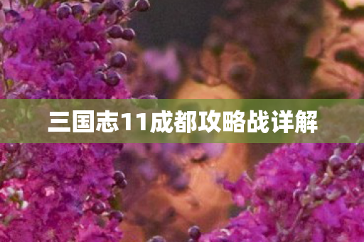 三国志11成都攻略战详解图片