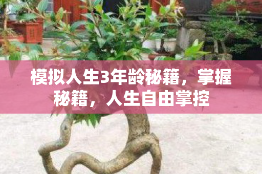 模拟人生3年龄秘籍图片