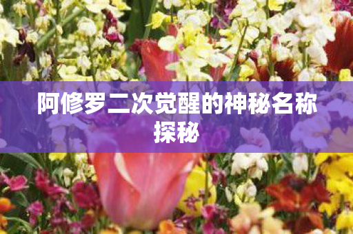 阿修罗二次觉醒的神秘名称探秘图片
