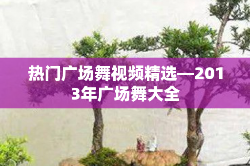 2013年广场舞大全图片