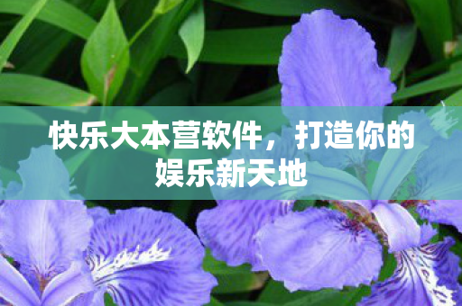 打造你的娱乐新天地图片
