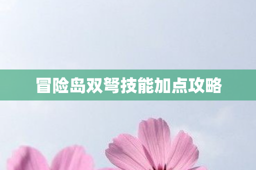 冒险岛双弩技能加点攻略图片