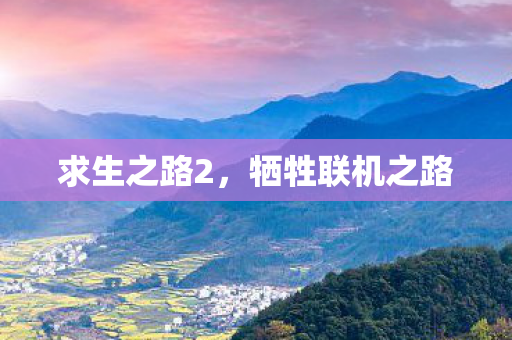 牺牲联机之路图片
