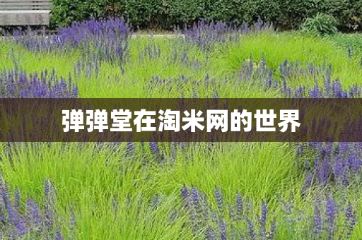 弹弹堂在淘米网的世界图片