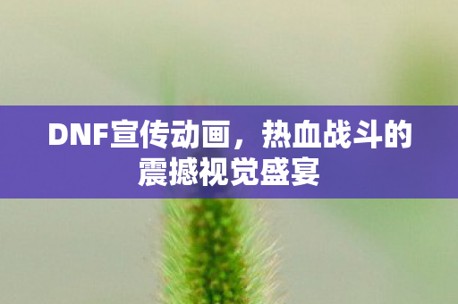 热血战斗的震撼视觉盛宴图片