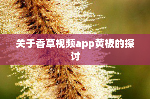 关于香草视频app黄板的探讨图片
