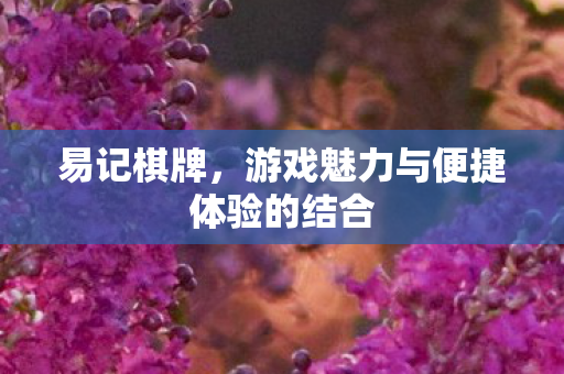 游戏魅力与便捷体验的结合图片