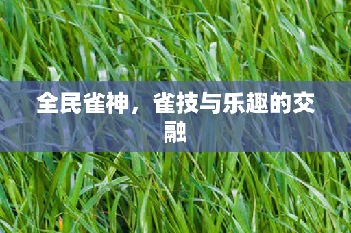 雀技与乐趣的交融图片