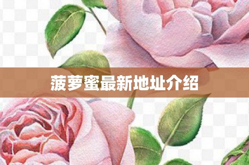 菠萝蜜最新地址介绍图片