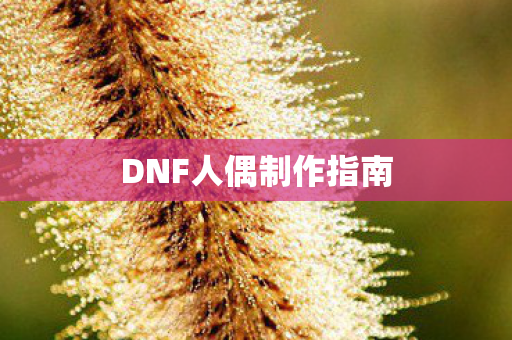 DNF人偶制作指南图片