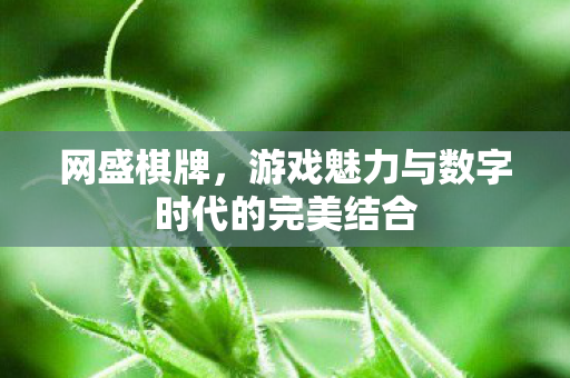 游戏魅力与数字时代的完美结合图片