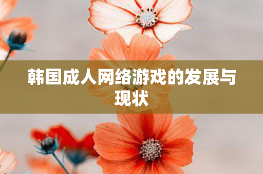 韩国成人网络游戏的发展与现状图片