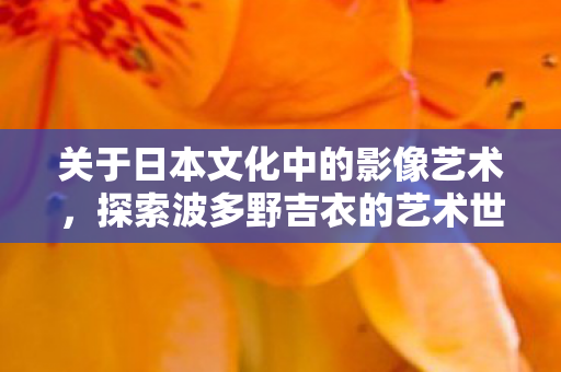 关于日本文化中的影像艺术,探索波多野吉衣的艺术世界 关于日本文化中的影像艺术,探索波多野吉衣的艺术世界