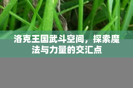 洛克王国武斗空间,探索魔法与力量的交汇点 洛克王国武斗空间,探索魔法与力量的交汇点
