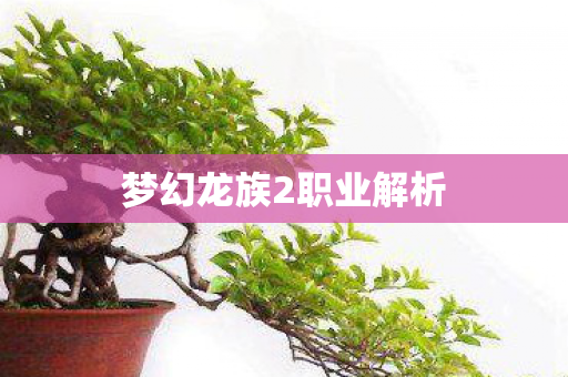梦幻龙族2职业解析 梦幻龙族2职业解析