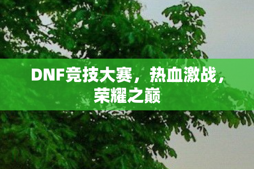 DNF竞技大赛图片