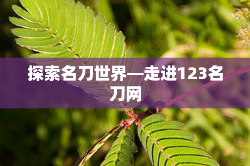 走进123名刀网图片